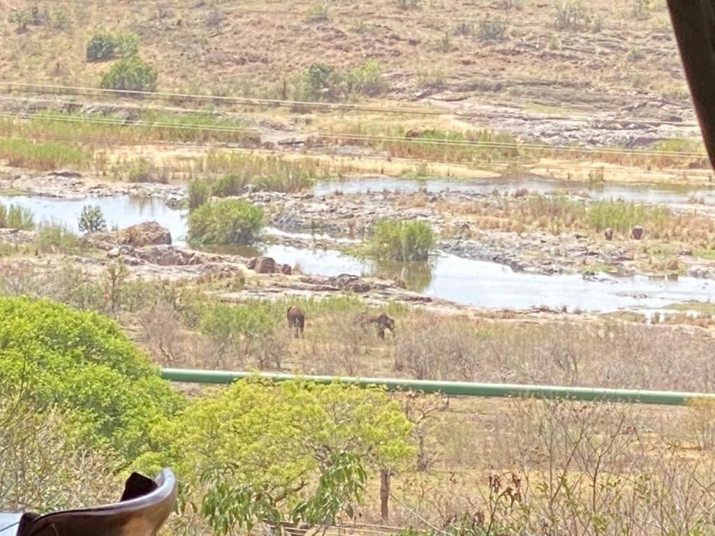 Croc River Lodge Komatipoort Buitenkant foto