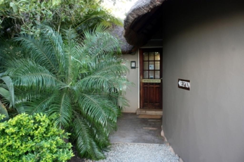 Croc River Lodge Komatipoort Buitenkant foto